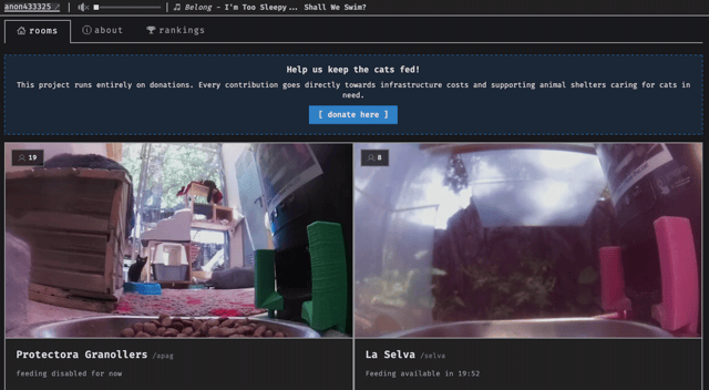AIで「猫に餌をあげるだけのサイト」を作ったら、世界中の猫好きが集まった話
